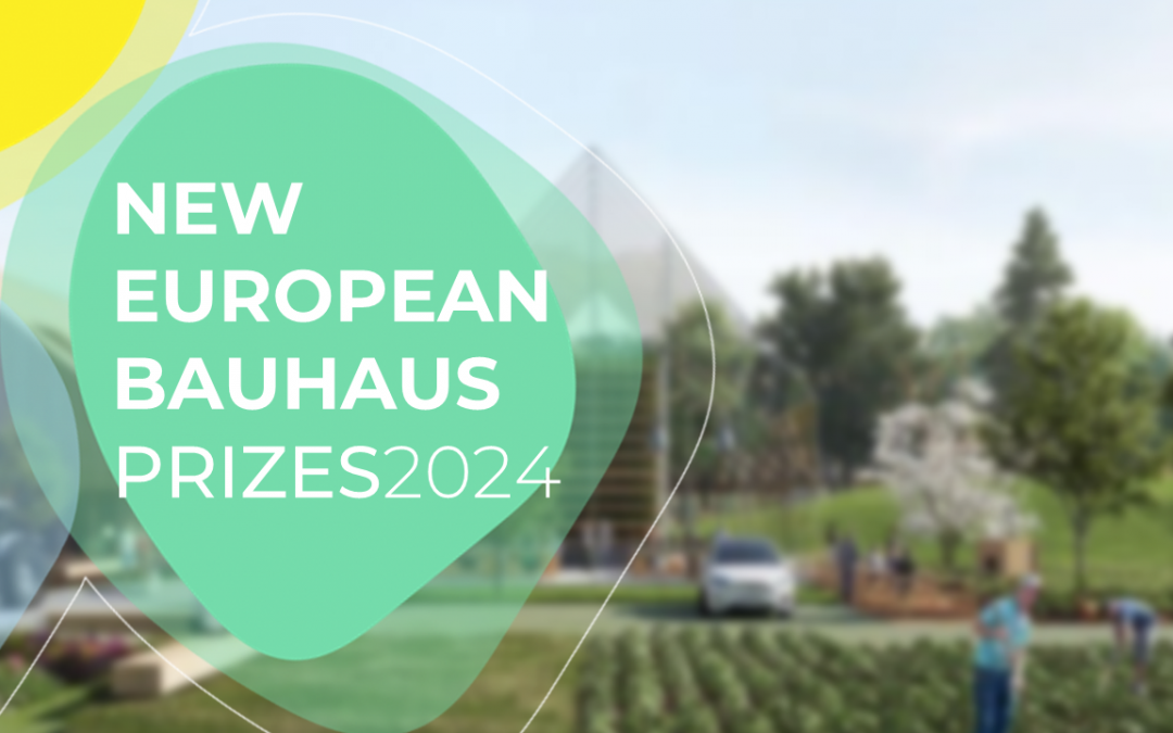 Anna sparraa – NEB Prizes 2024